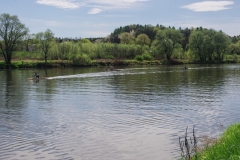 IMGP7541