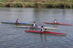 IMGP7556