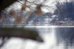 imgp0696
