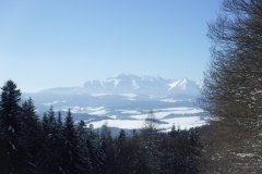 DSCF1759