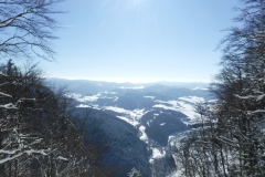 DSCF1782