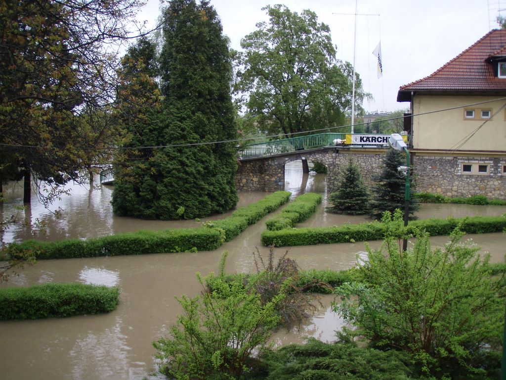 obraz_001