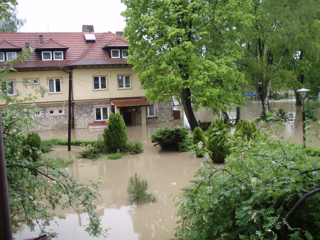 obraz_004