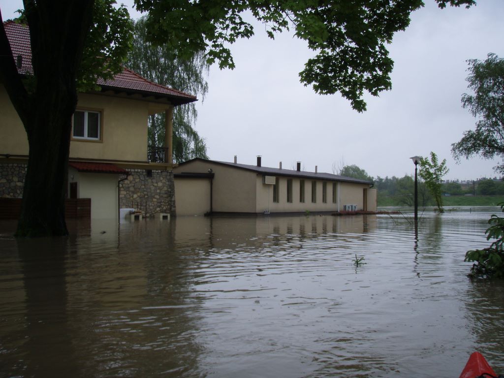 obraz_045