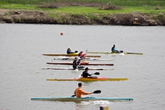 IMGP2091-1