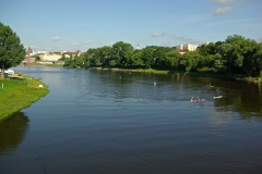 IMGP2220