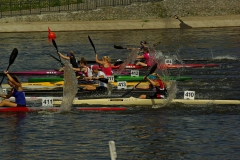 IMGP2334