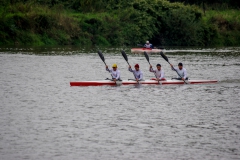 IMGP6811