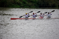 IMGP6813